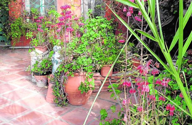 A home with a perfect patio