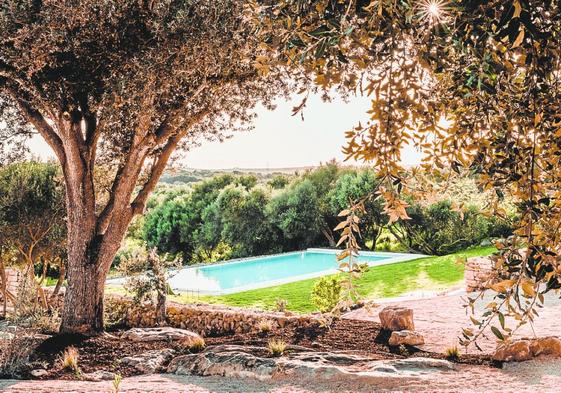 Hauser & Wirth, an island repurposed as an art centre.