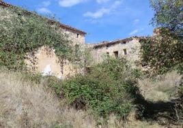 Limestone houses in the Burgos village of Bárcena de Bureba, bought by a Dutch couple.