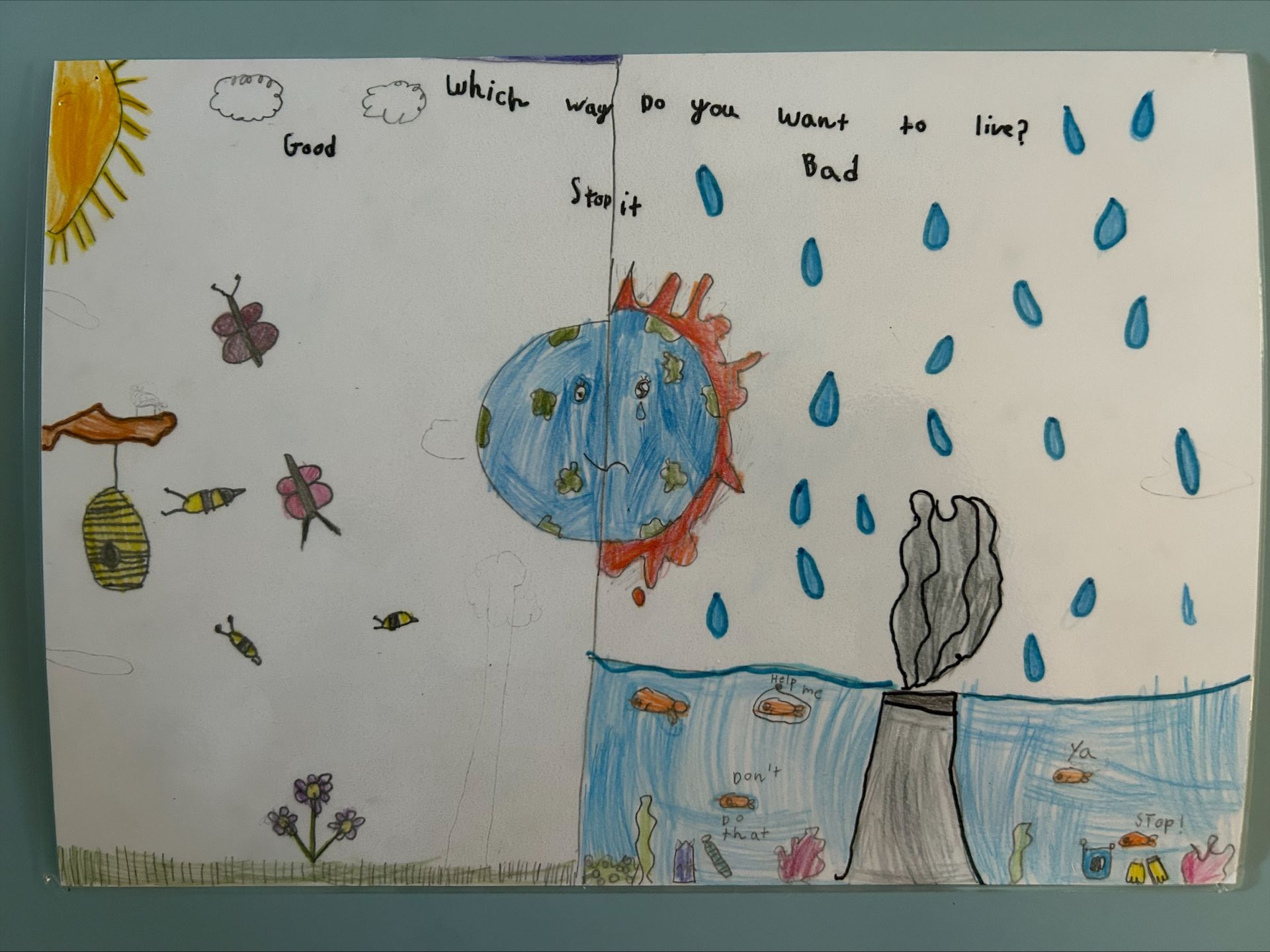 Bianca Louise Thor, aged 8, International School Estepona