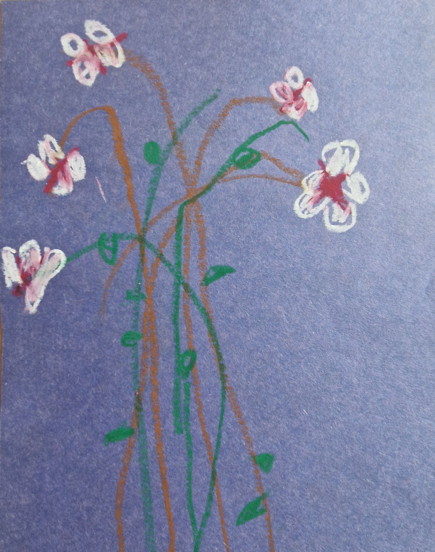 S.V.P. aged 6, Almuñécar International School