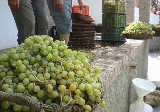 Pisa tradicional en Cómpeta.