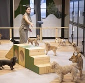 The canine hotel, which is located in the Retiro area of San Bernando.