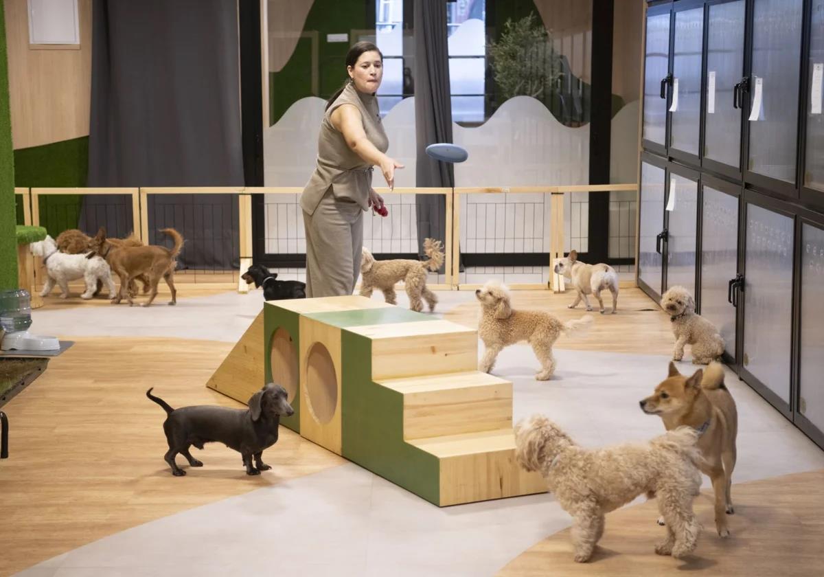 The canine hotel, which is located in the Retiro area of San Bernando.