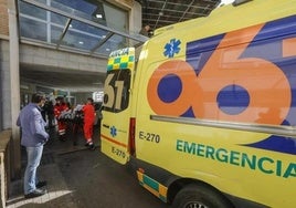 Three-year-old child dies in swimming pool in inland Malaga province town