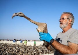Volunteers took part in the ringing
