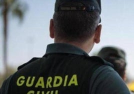 Bar brawl in Guadalhorce valley ends with a shot fired into the air and one person arrested