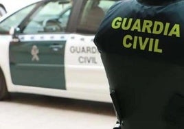 Six arrested after the discovery of a network of olive thieves in inland Malaga province