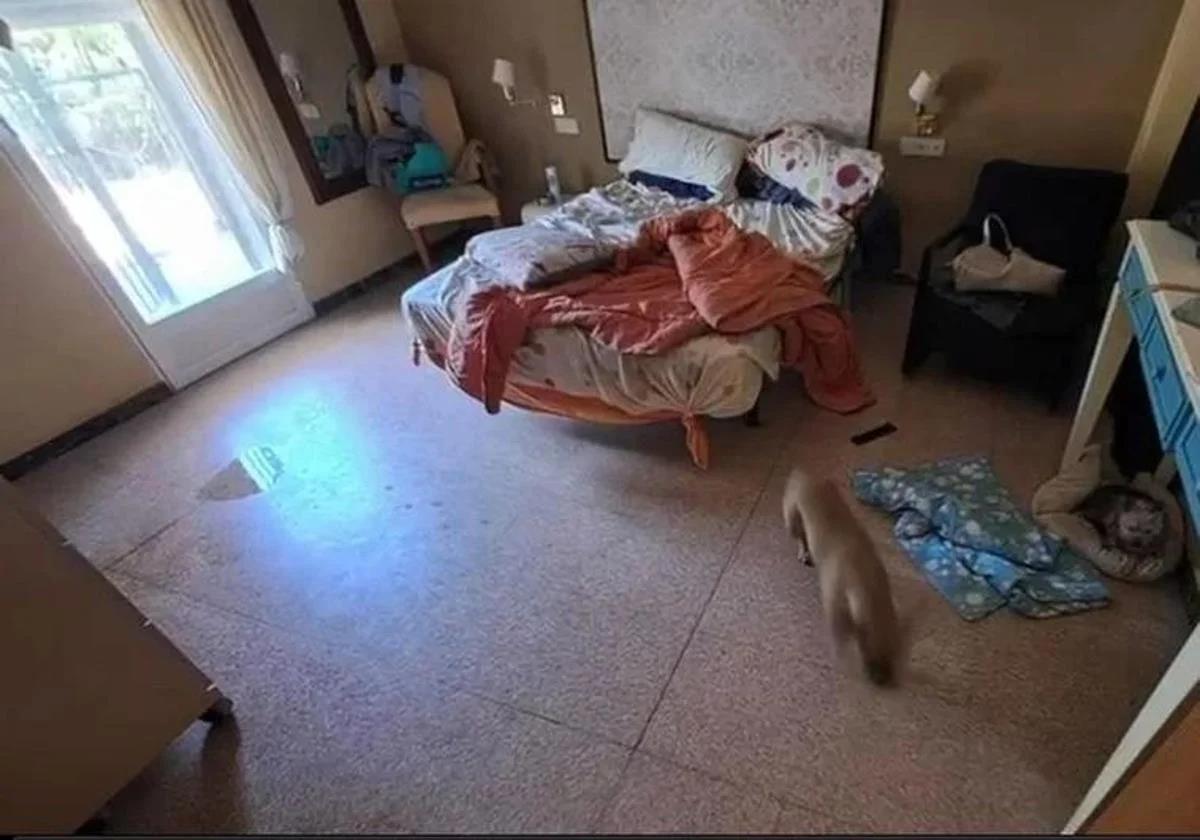 State of one of the rooms of this clandestine dwelling.