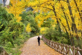 Cuenca in autumn.