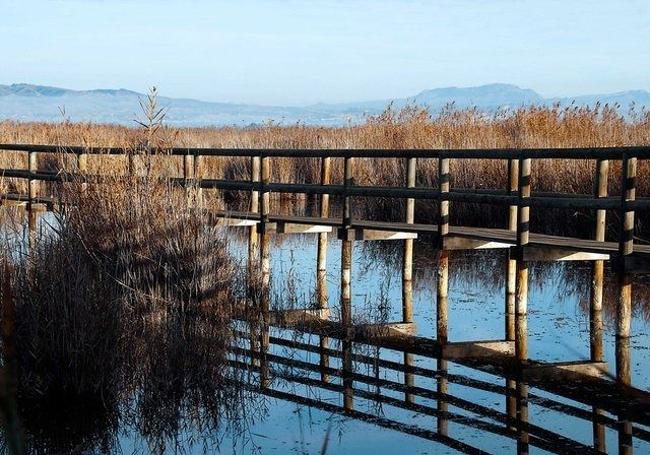 The El Hondo wetlands is made up of multiple lagoons