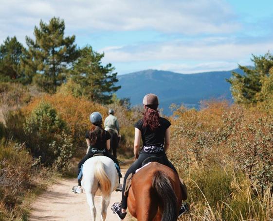 Exploring the Sierra de Guadarrama on horseback.