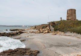 Seven things not to miss this summer when visiting Manilva
