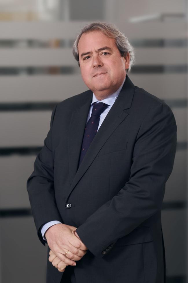 Francisco Javier Florido Martin, Head of Litigation Department.