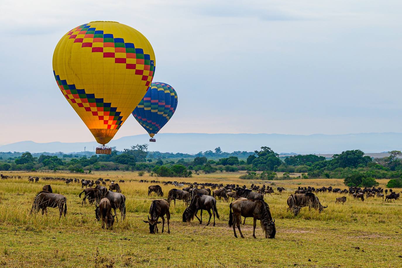 Kenya.