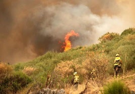 Firefighting services at the Fasgar fire in León.