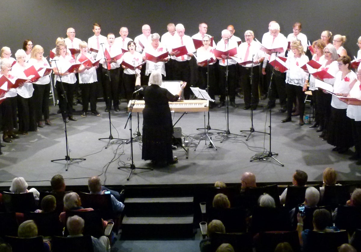The Love to Sing choir during their end-of-season concert in Estepona.