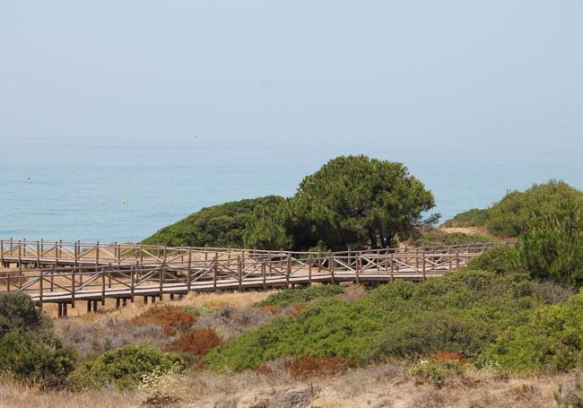Artola dunes.