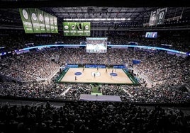 The view inside the Martín Carpena area during a game this year.