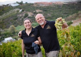 Manilva offers more than sun and sea: discover the taste of its wines