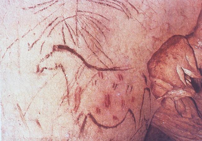 Pileta cave.