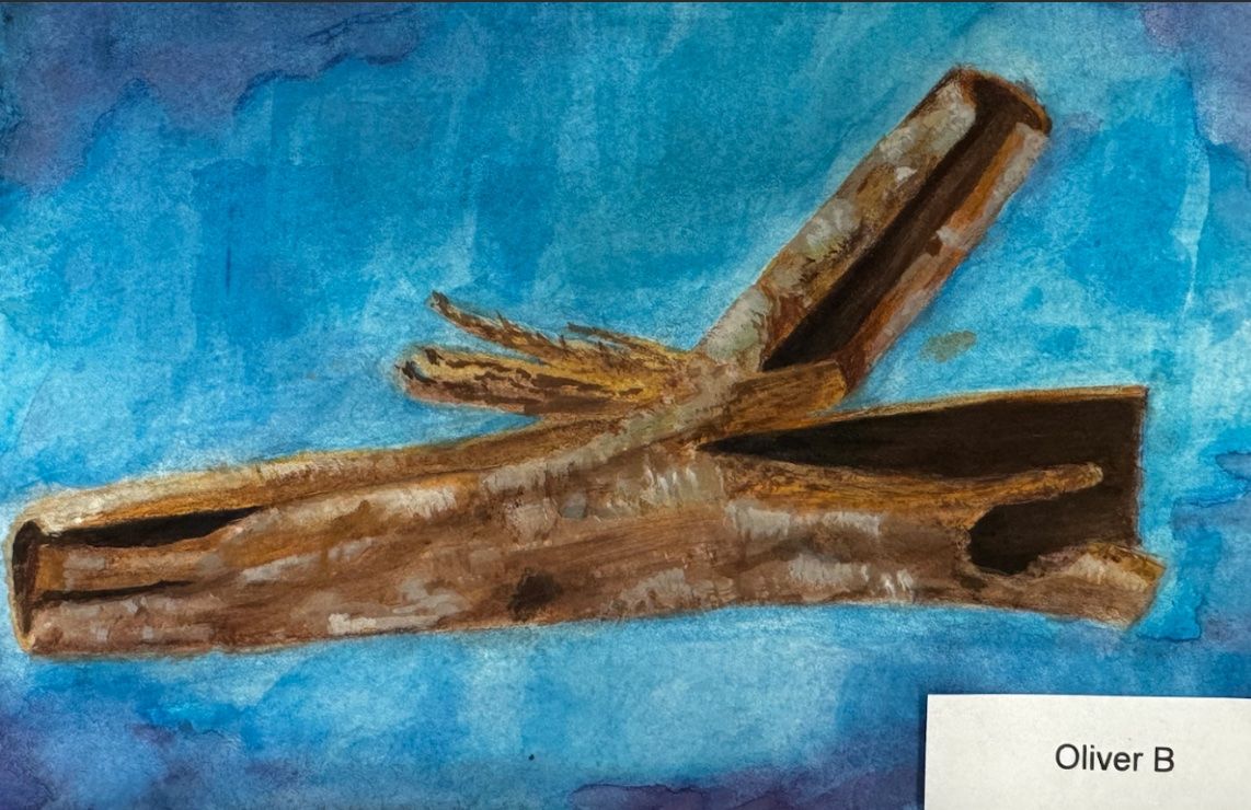 Oliver Boesl, aged 16. Sotogrande International School