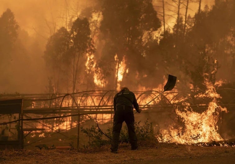 A forest ranger works to extinguish the fire in Carballeda de Avia (Ourense).