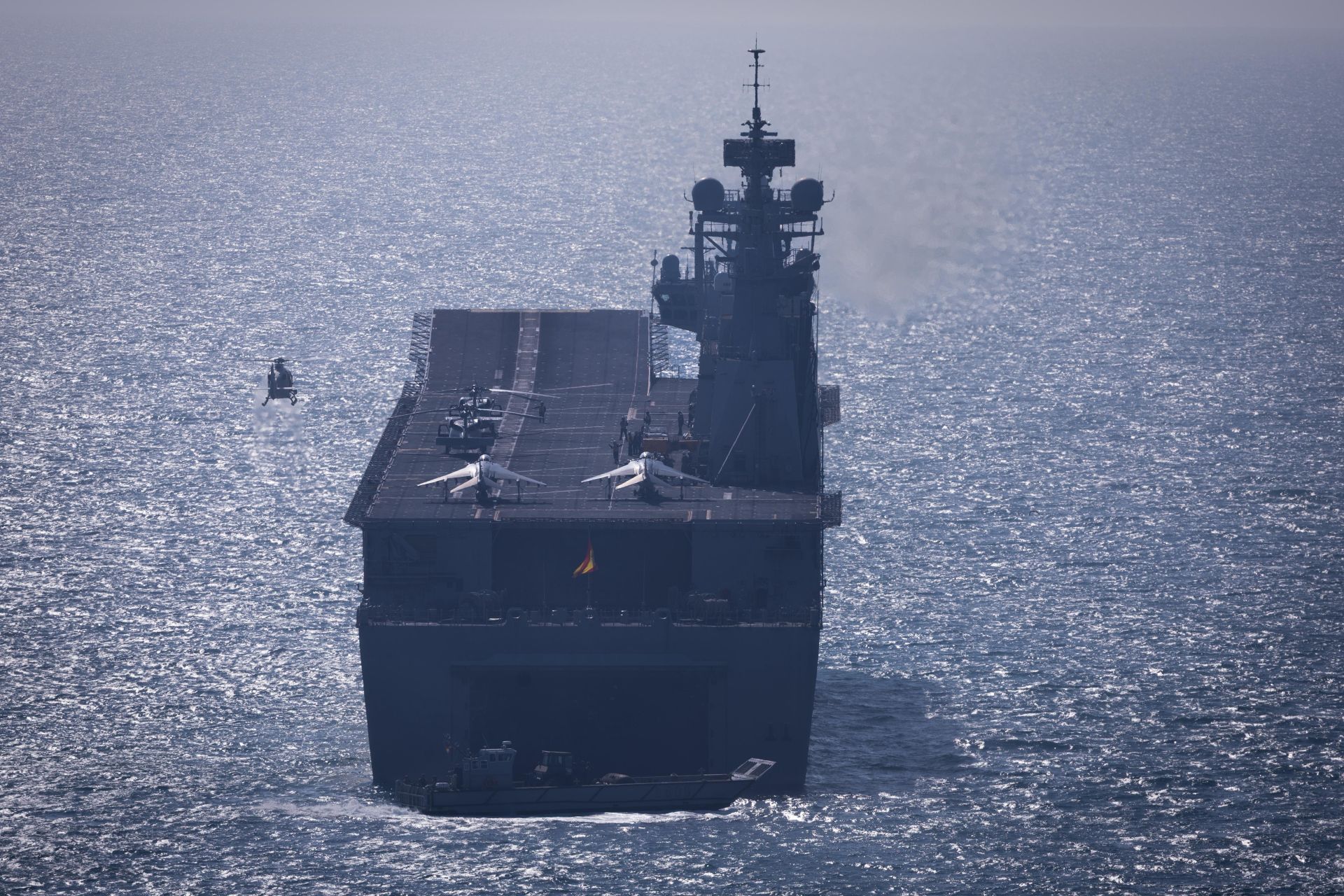 The Spanish Navy&#039;s amphibious landing on the Costa del Sol, in pictures